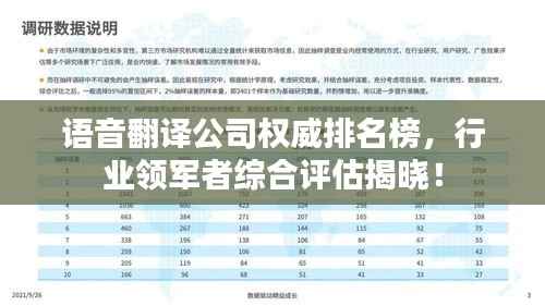 语音翻译公司权威排名榜，行业领军者综合评估揭晓！