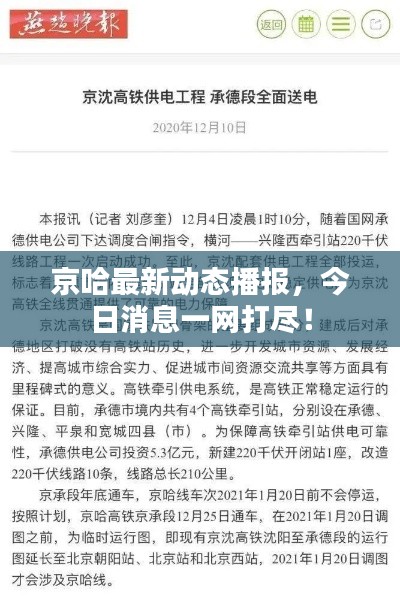 京哈最新动态播报,今日消息一网打尽!