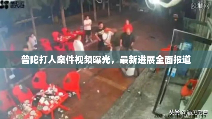 普陀打人案件视频曝光,最新进展全面报道