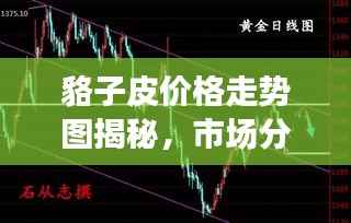 貉子皮价格走势图揭秘,市场分析预测及行情展望