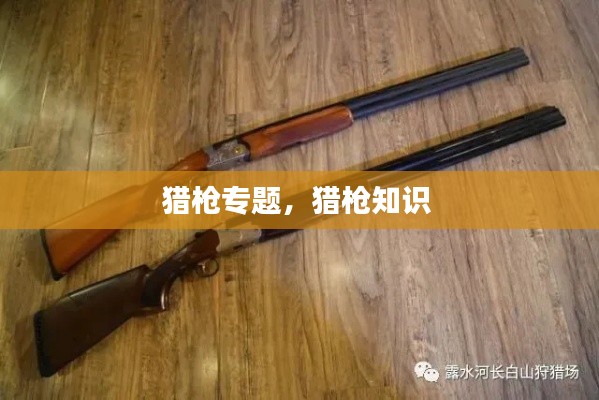 猎枪专题,猎枪知识