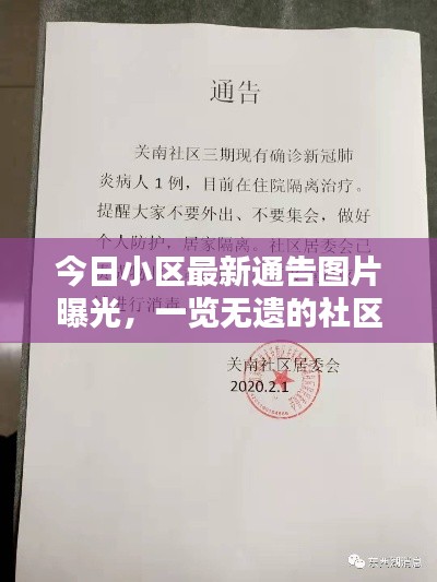 今日小区最新通告图片曝光,一览无遗的社区最新动态
