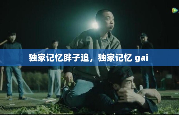 独家记忆胖子追,独家记忆 gai