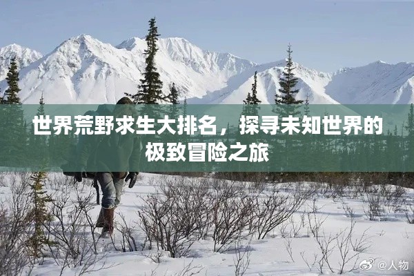 世界荒野求生大排名,探寻未知世界的极致冒险之旅