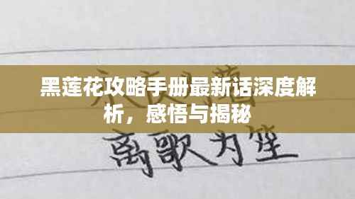 黑莲花攻略手册最新话深度解析,感悟与揭秘