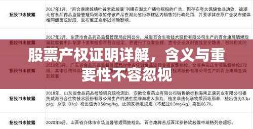 股票产权证明详解,含义与重要性不容忽视
