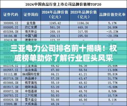 三亚电力公司排名前十揭晓！权威榜单助你了解行业巨头风采