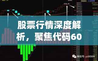 股票行情深度解析,聚焦代码600785走势揭秘