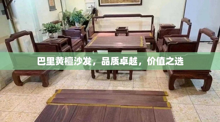巴里黄檀沙发,品质卓越,价值之选