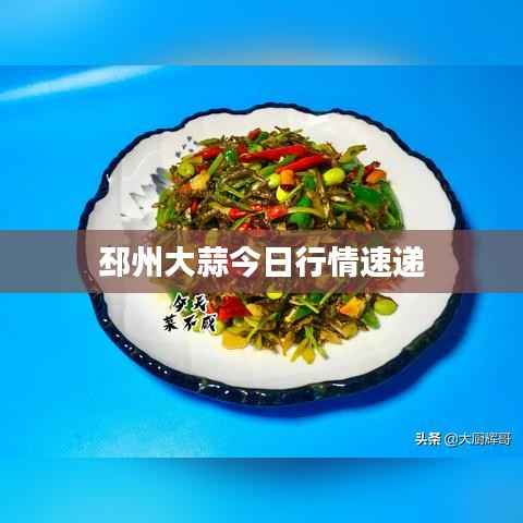 邳州大蒜今日行情速递