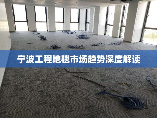 宁波工程地毯市场趋势深度解读