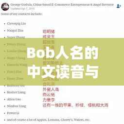 Bob人名的中文读音与解析,探寻名字的奥秘
