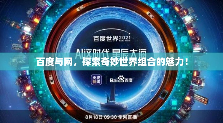 百度与网,探索奇妙世界组合的魅力!