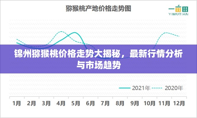 锦州猕猴桃价格走势大揭秘,最新行情分析与市场趋势