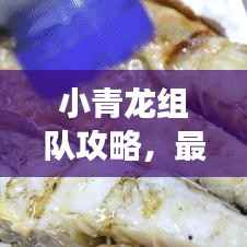 小青龙组队攻略，最新视频教你玩转游戏！