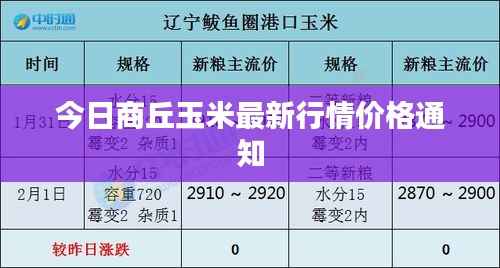 今日商丘玉米最新行情价格通知