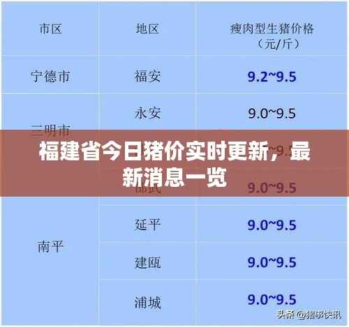 福建省今日猪价实时更新，最新消息一览