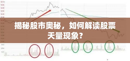 揭秘股市奥秘,如何解读股票天量现象?