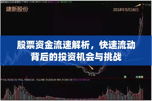 股票资金流速解析,快速流动背后的投资机会与挑战