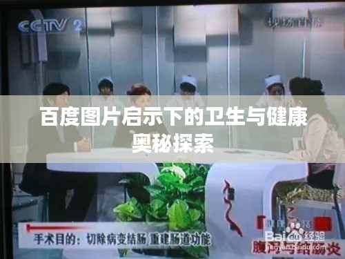 百度图片启示下的卫生与健康奥秘探索